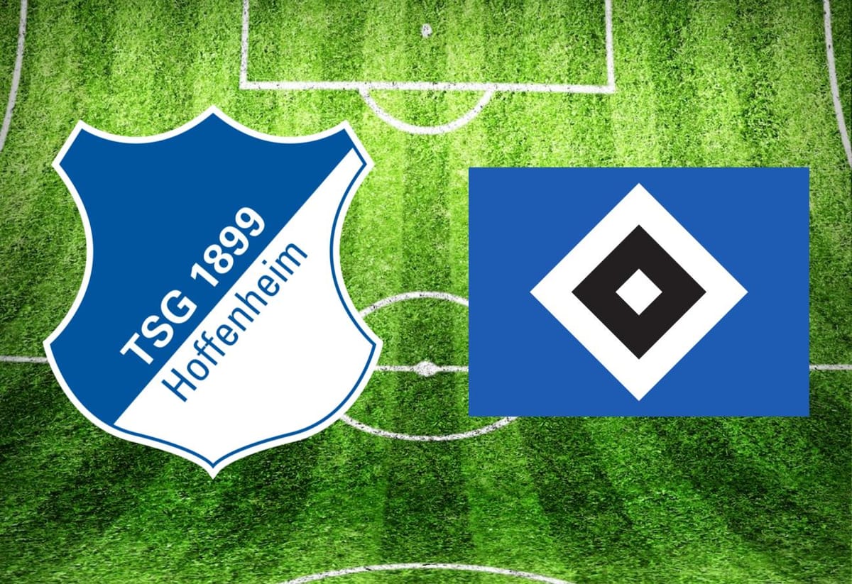 TSG Hoffenheim – Hamburger SV im TV: Anstoßzeit, Sender und Statistik