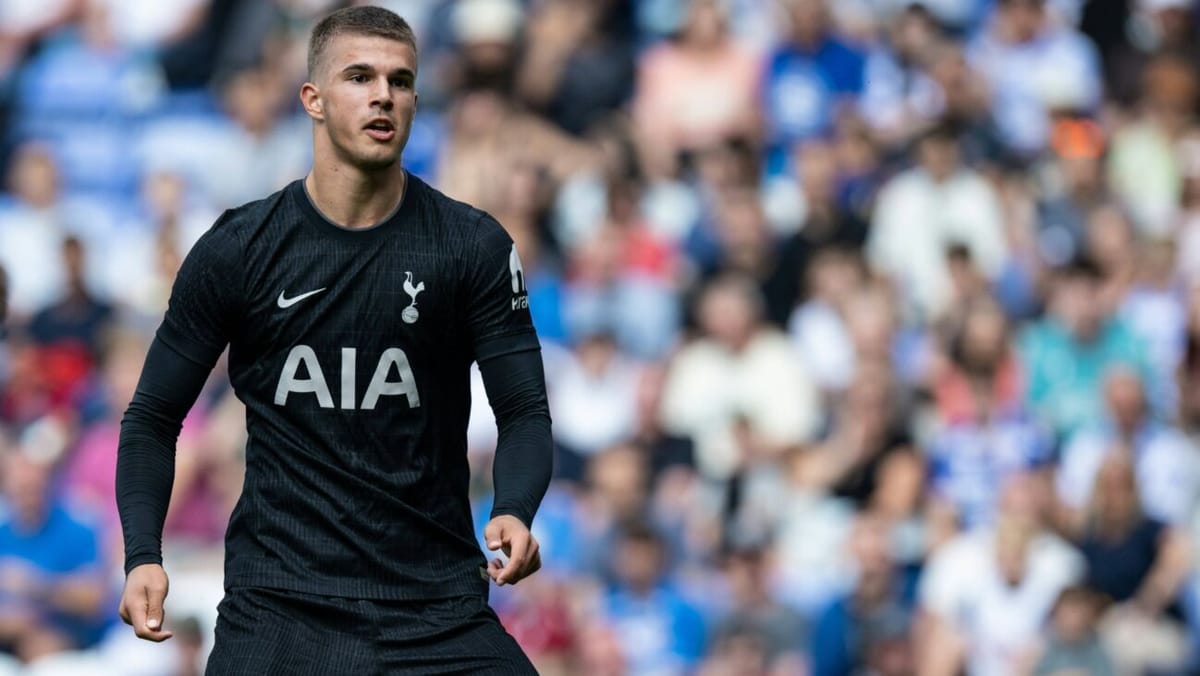 Deal perfekt: HSV holt "kleinen" Vuskovic