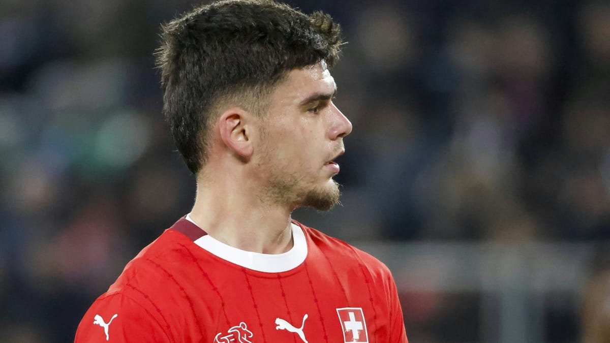 Hoffenheim verpflichtet Schweizer Hajdari