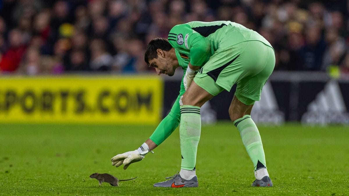 "Konnte es nicht glauben": Ratte sorgt für Spielunterbrechung