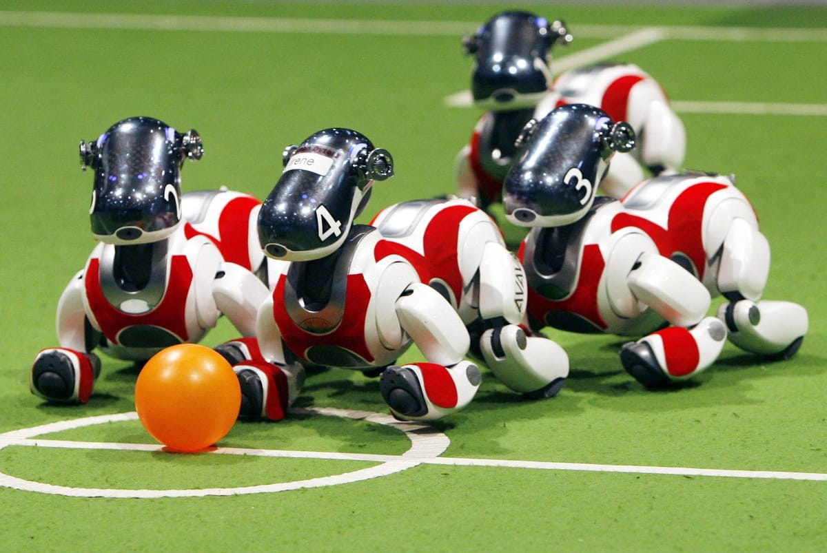 Roboterhunde bei der WM 2026: Monterrey wagt ein Experiment, das Respekt verdient