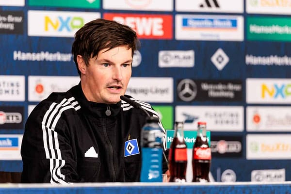 Merlin Polzin beim HSV: Problemlöser statt Kultobjekt