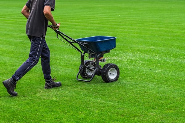 Immer mehr Klubs machen sich Gedanken, wie man Gutes für die Umwelt tun kann