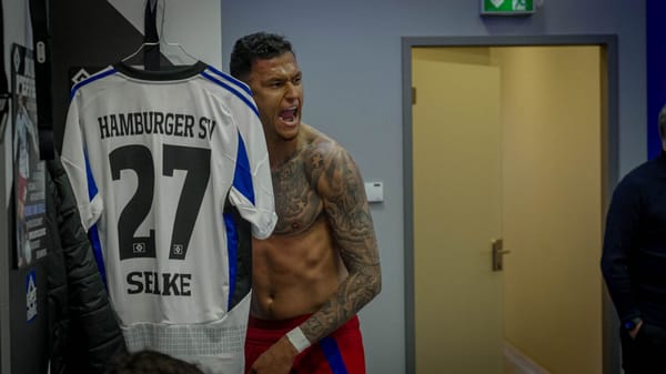 Mist! Ich glaub', ich mag den HSV plötzlich