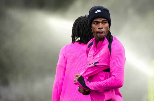 Wie sehr kann Chukwuemeka dem BVB helfen?