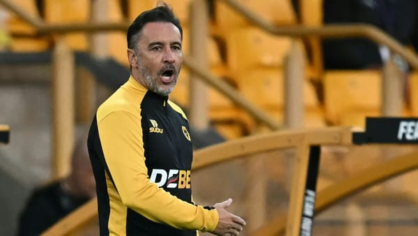 Wolverhampton trennt sich von Ex-Löwen-Coach Pereira