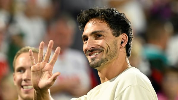 TV-Experte Hummels: "In der Wortwahl zurückhalten"