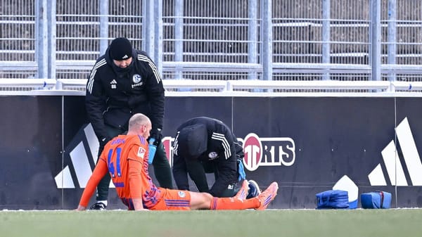 Schalkes Matriciani erleidet Kreuzbandriss