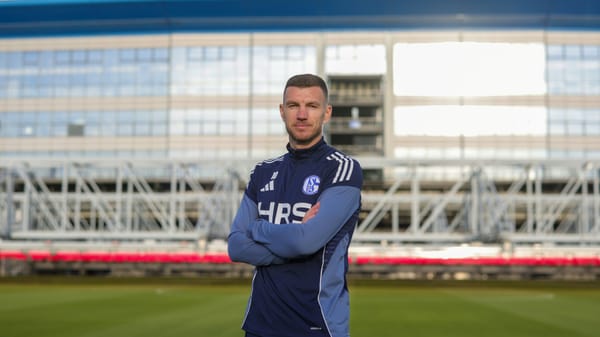 Dzeko zu S04: "Ich habe den ersten Kontakt gemacht"