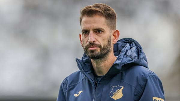 Hoffenheim trennt sich von Trainer Dedes