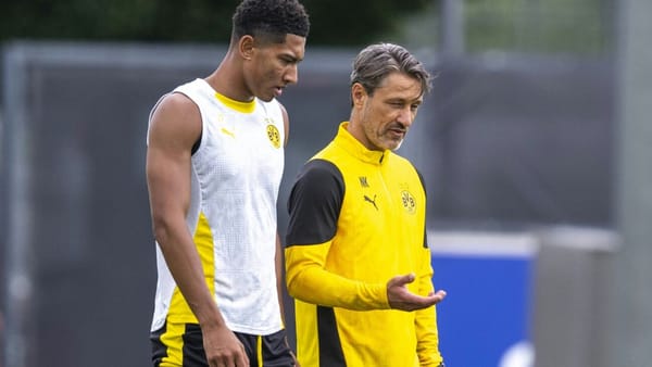 Kovac verteidigt Bellingham: "Verstehe die Kritik gar nicht"