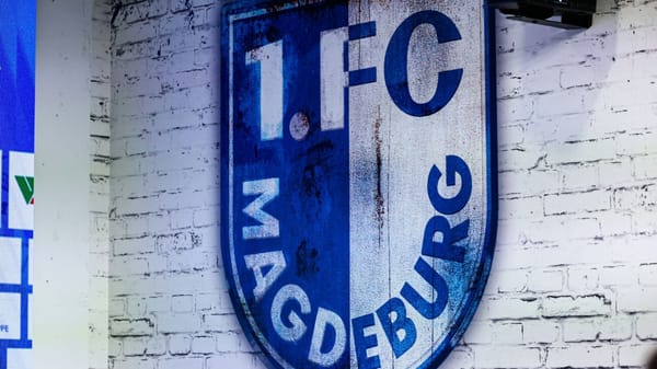 Unerlaubtes Foto: Zweitligist Magdeburg zeigt Fan an