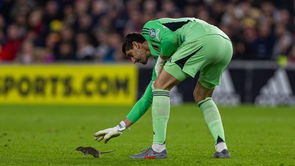 "Konnte es nicht glauben": Ratte sorgt für Spielunterbrechung