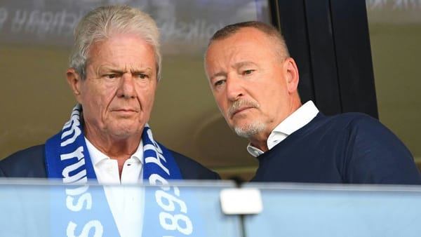 "Enkeltrickbetrüger": Fans verteilen Wittmann-"Steckbriefe"