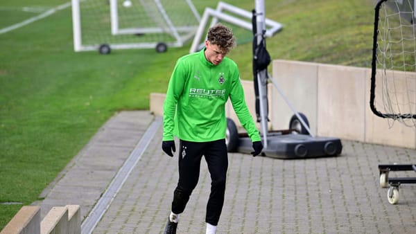 "Muskelfaserriss im Adduktorenbereich": Rückschlag für Hack