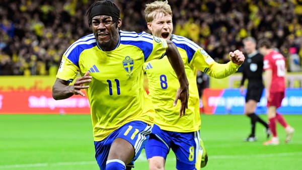 Schweden fährt zur WM - Lewandowski gescheitert