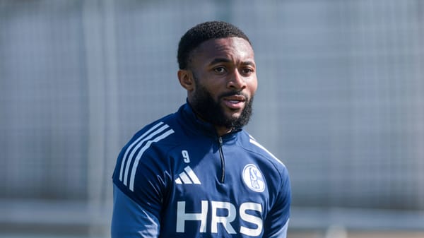 Schalke: Sylla soll Dzeko in Darmstadt ersetzen