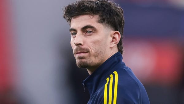 Havertz und seine Esel: "Ein bisschen so wie ich"