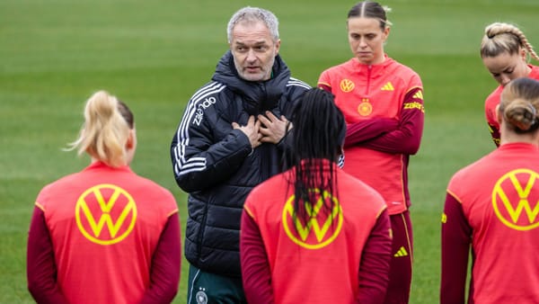 Wück: DFB-Team mit "gleicher Qualität" wie Spanien