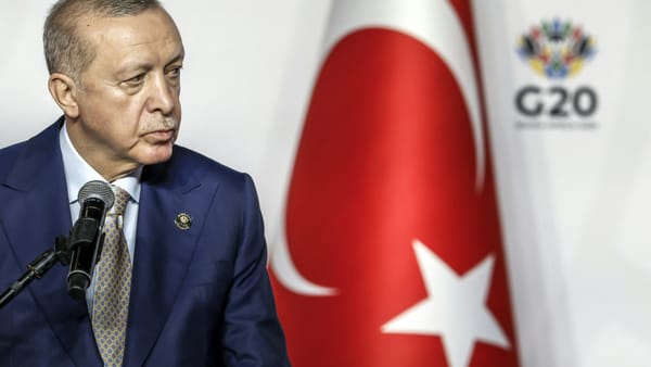Türkei: Erdogan träumt vom WM-Finale, Verbandschef vom Titel