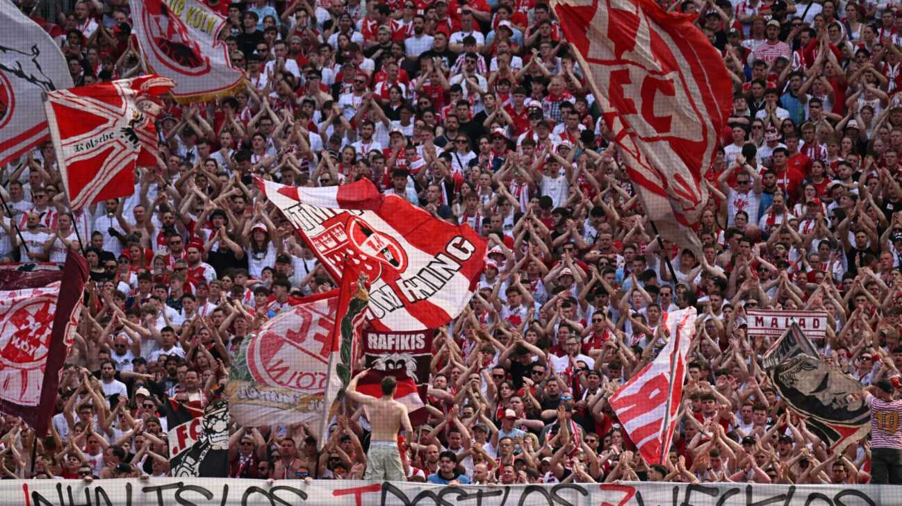 FIFA hebt Sperre gegen 1. FC Köln auf FIFA hebt Sperre gegen 1. FC Köln auf