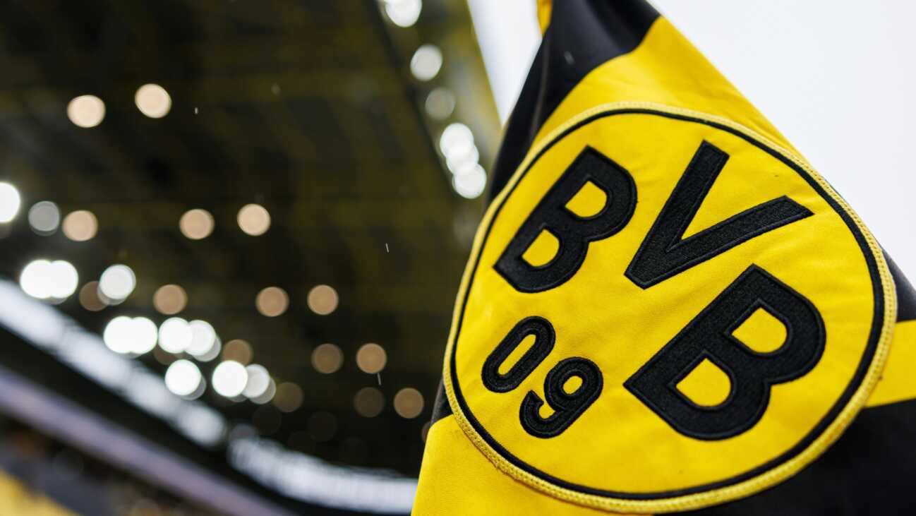 Wegen Wahlwerbung: BVB wehrt sich gegen AfD